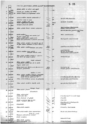 185W0406-a1profile.jpg