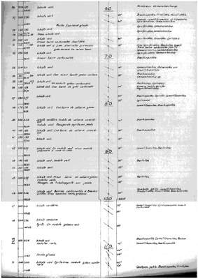 185W0406-b1 profile.jpg