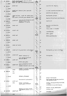 185W0406-c1 profile.jpg