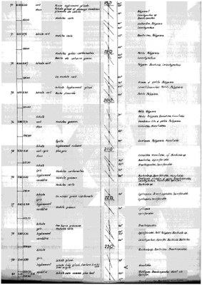 185W0406-d1 profile.jpg