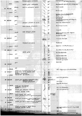 185W0406-e1 profile.jpg