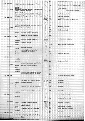 185W0406-f1 profile.jpg