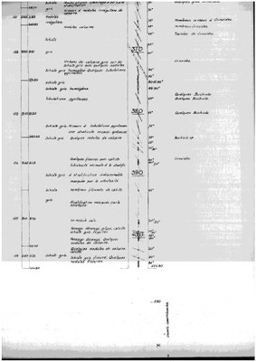 185W0406-g1 profile.jpg