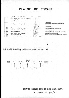 185W0406d profile.jpg