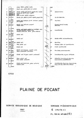 185W0406e profile.jpg