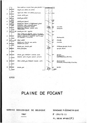 185W0406f profile.jpg