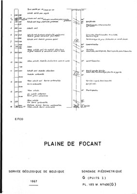 185W0406g profile.jpg