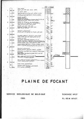 185W0407 profile.jpg