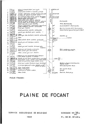 185W0428a profile.jpg