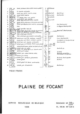 185W0428b profile.jpg