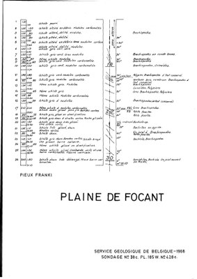 185W0428c profile.jpg