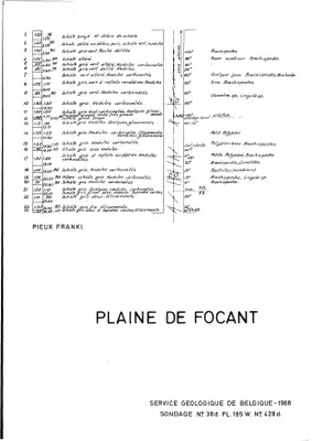 185W0428d profile.jpg