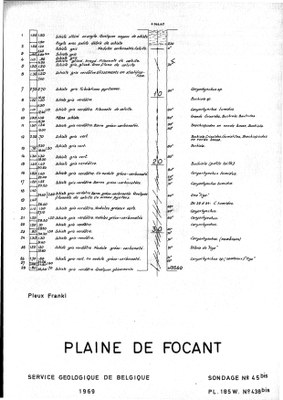 185W0438bis profile.jpg