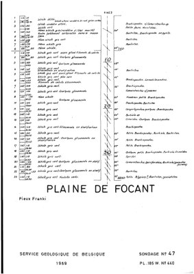 185W0440 profile.jpg