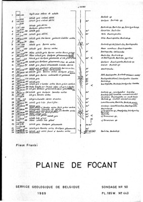 185W0443 profile.jpg