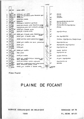 185W0471 profile.jpg