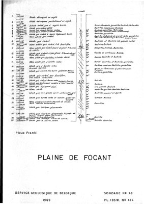 185W0474 profile.jpg