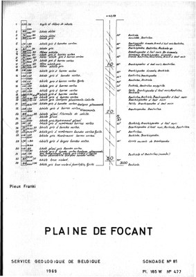 185W0477 profile.jpg