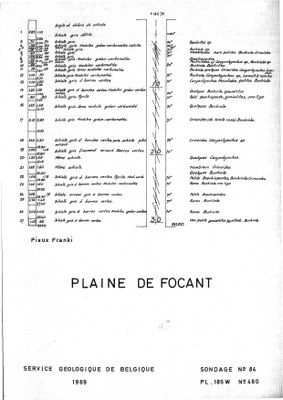 185W0480 profile.jpg