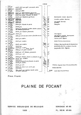 185W0484 profile.jpg