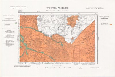 008-wortel-weelde.jpg