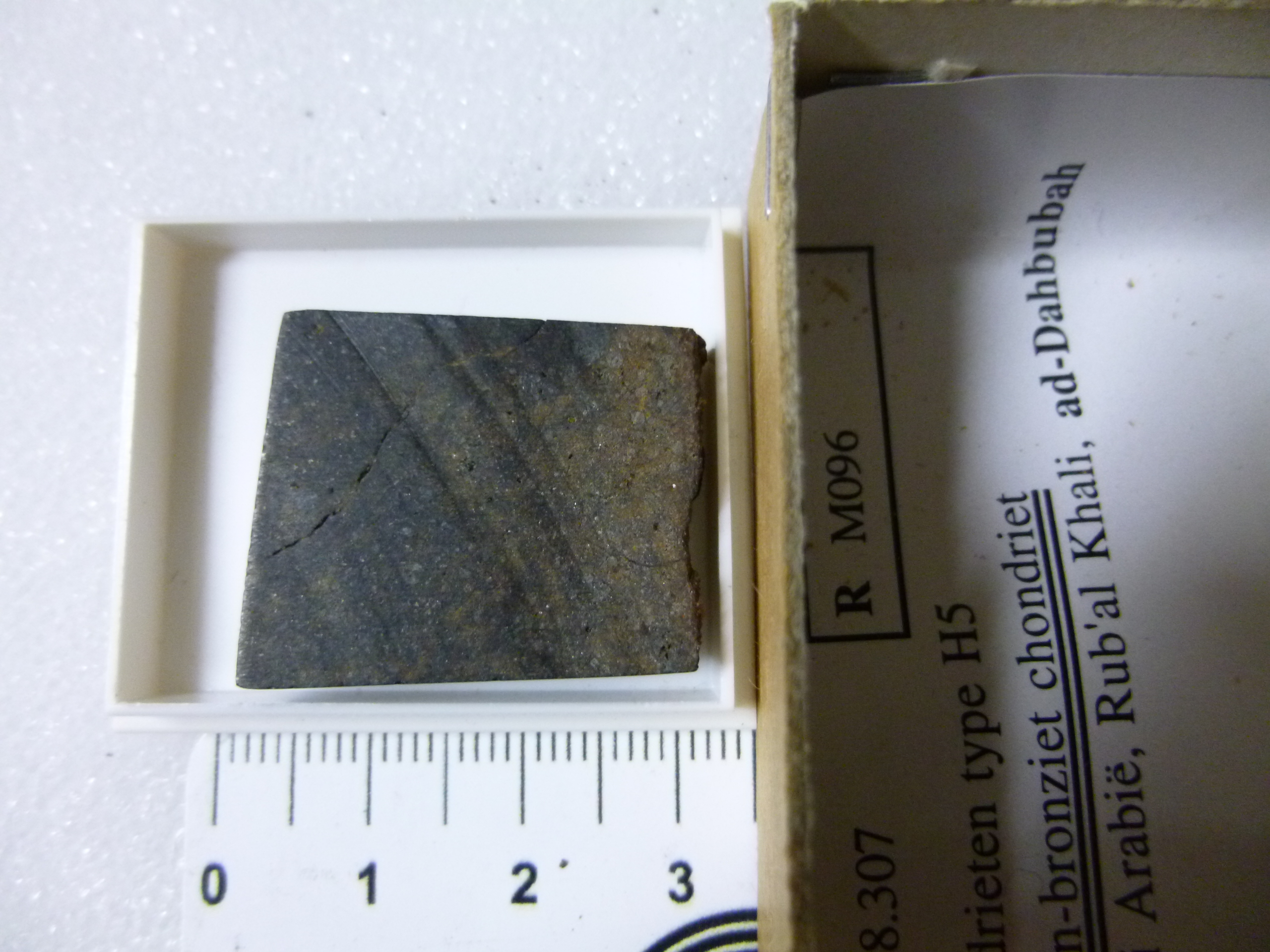 M096.jpg