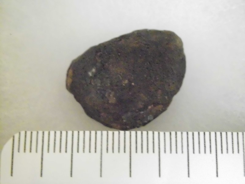 M263.jpg