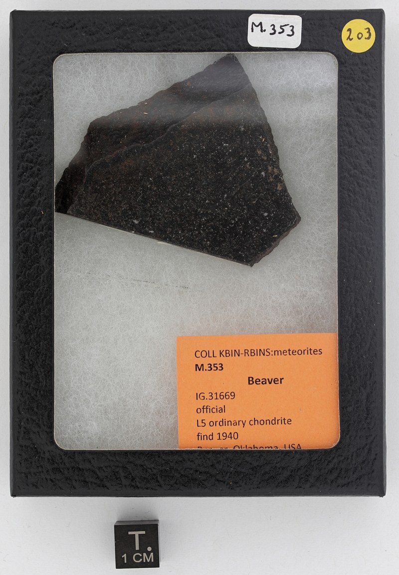 M353 ZS PMax_DxO.jpg