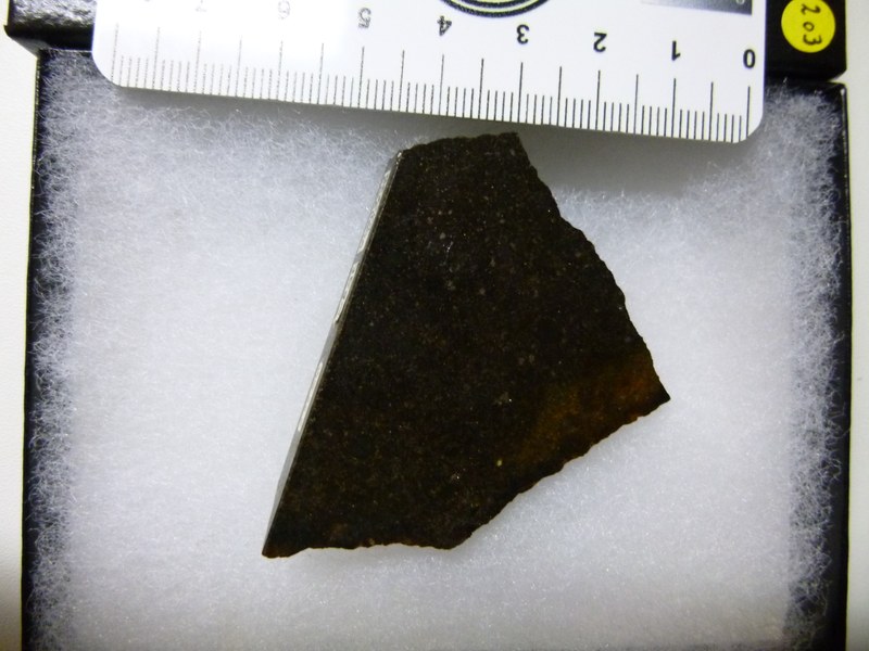 M353.jpg