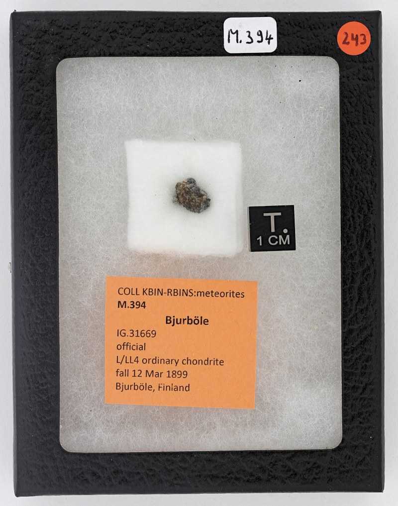 M394 ZS PMax_DxO.jpg