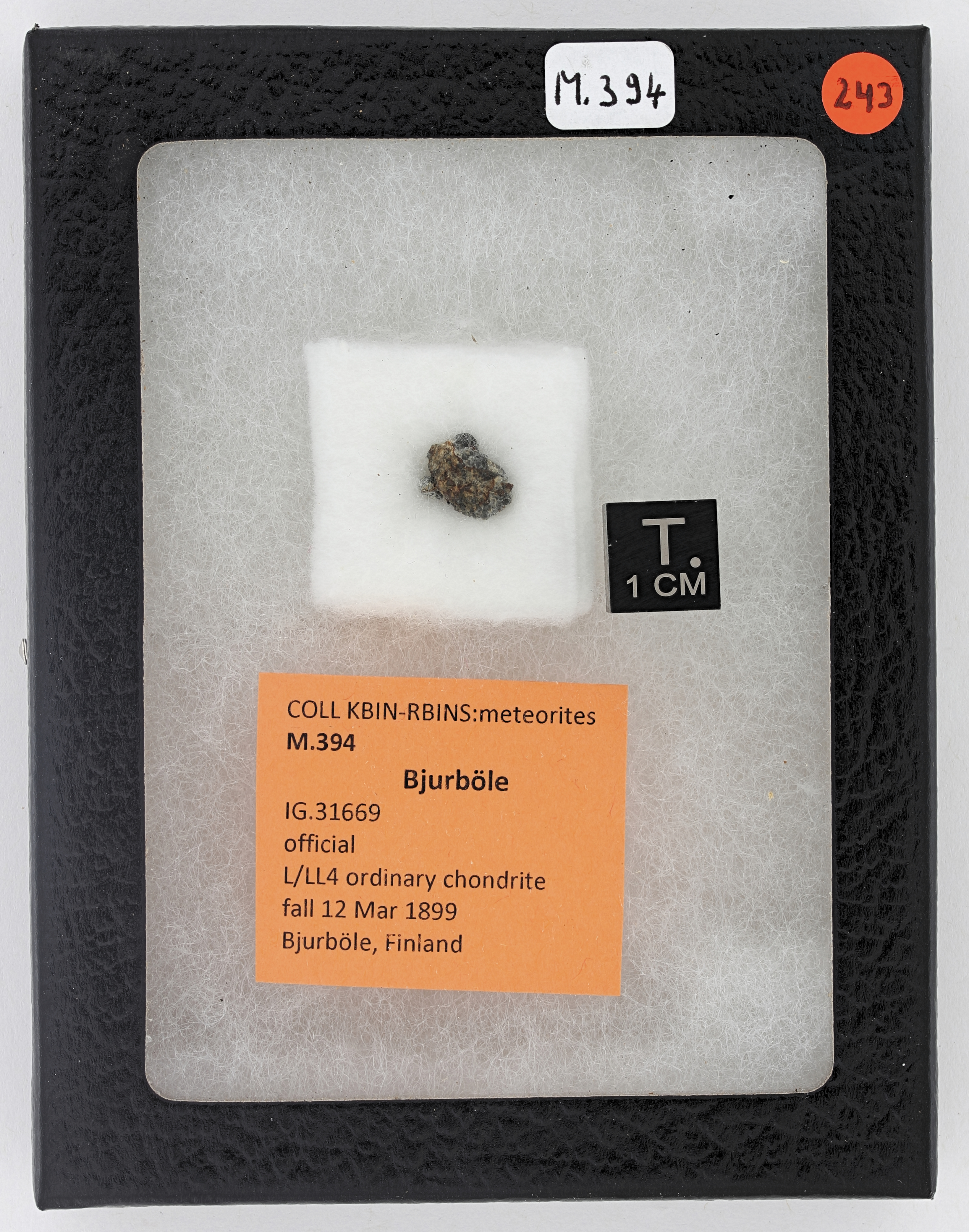 M394 ZS PMax_DxO.jpg