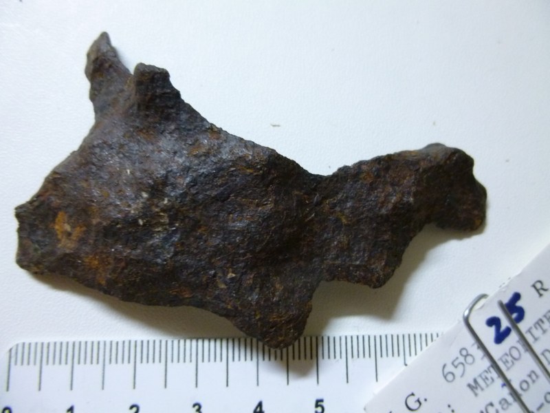 M025.jpg