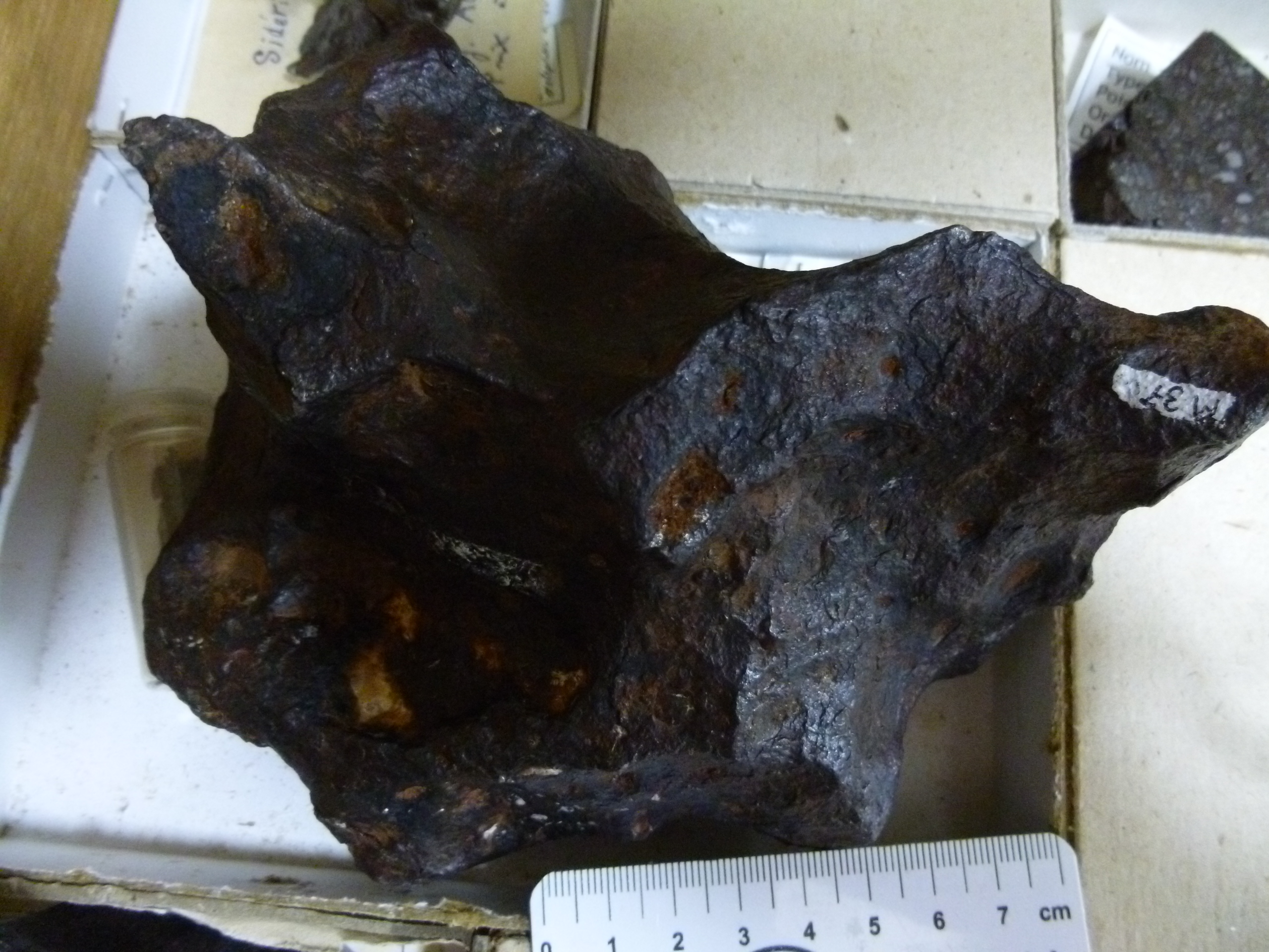 M037.jpg