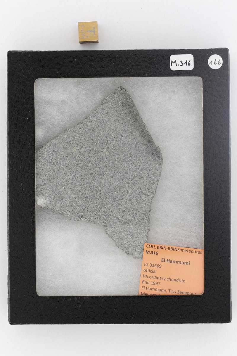 M316 ZS PMax_DxO.jpg