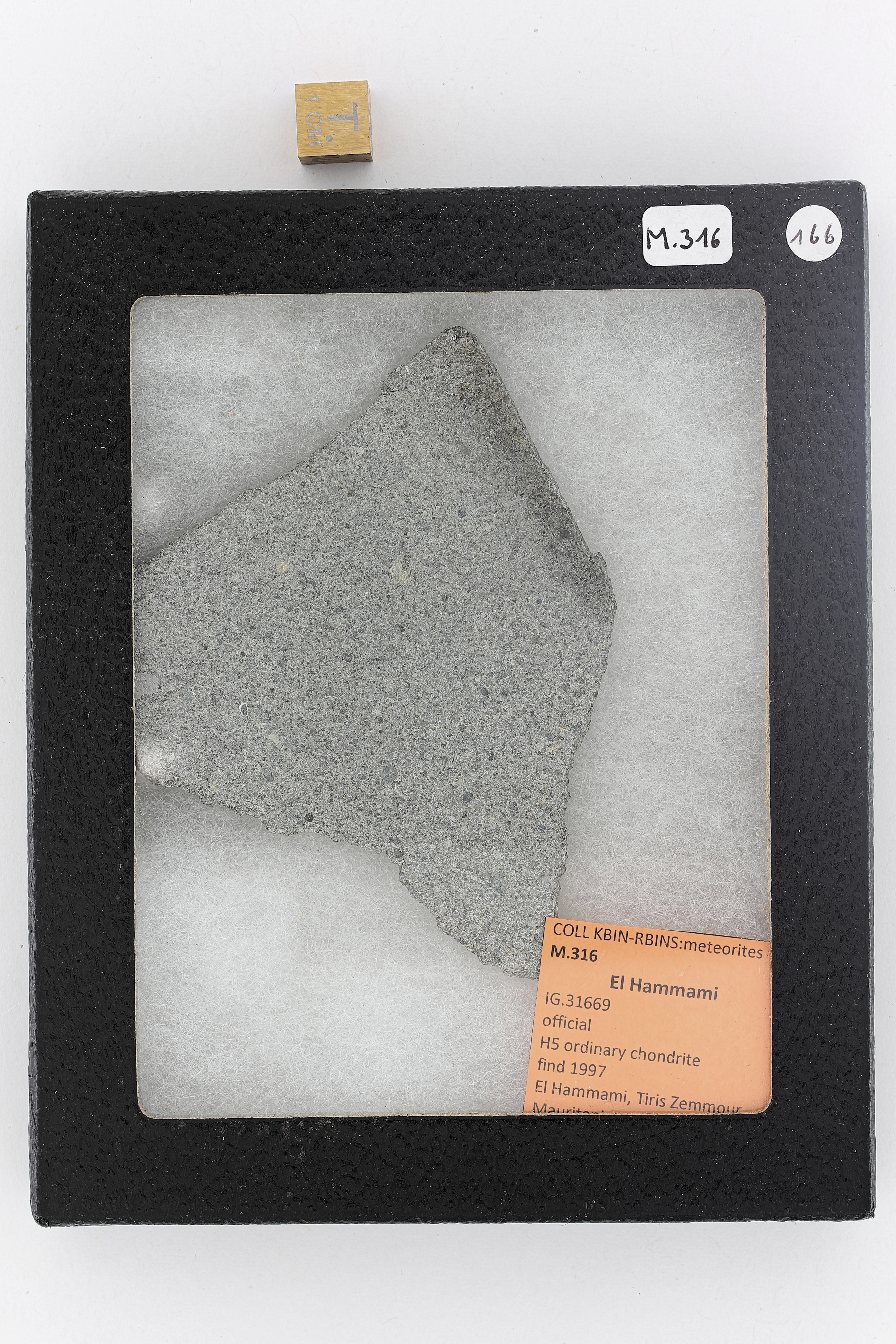 M316 ZS PMax_DxO.jpg