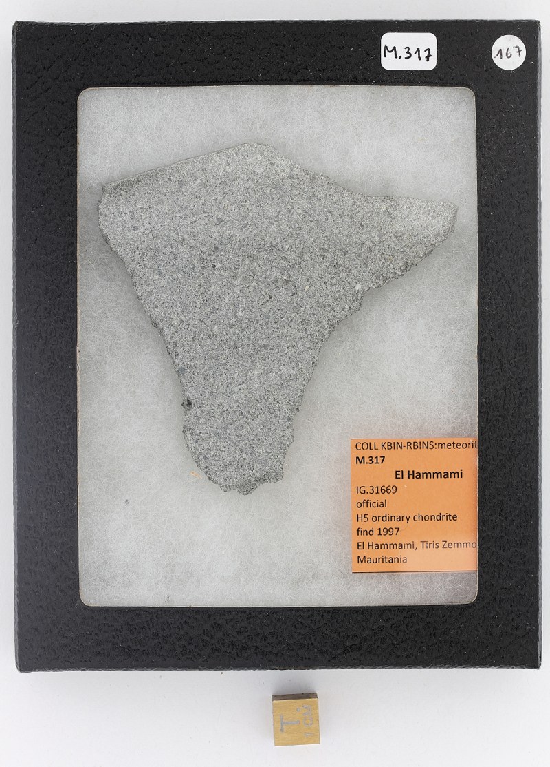 M317 ZS PMax_DxO.jpg