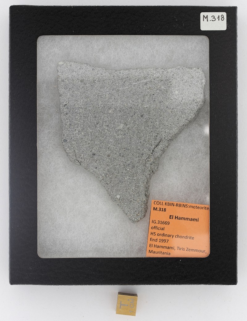 M318 ZS PMax_DxO.jpg