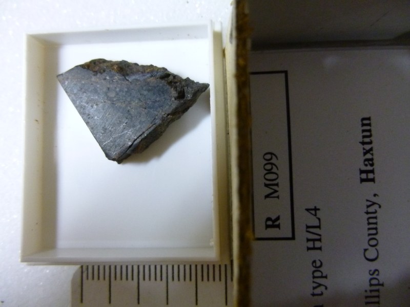 M099.jpg