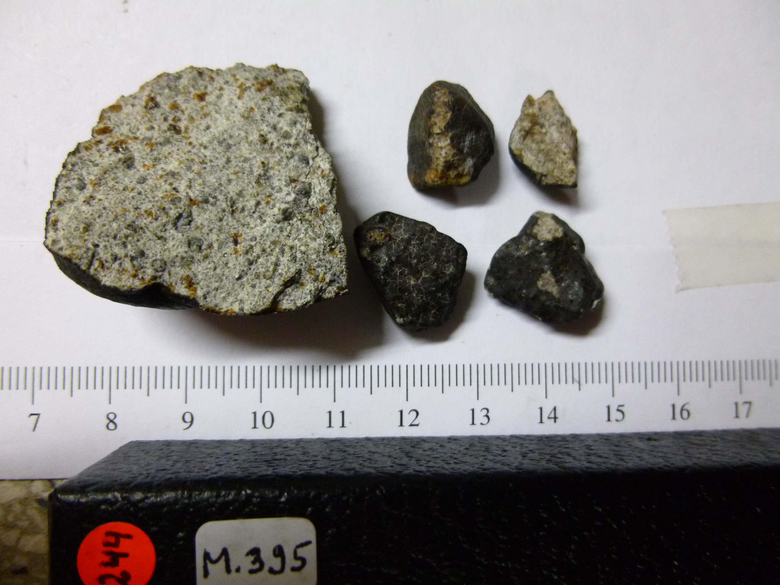 M395.jpg