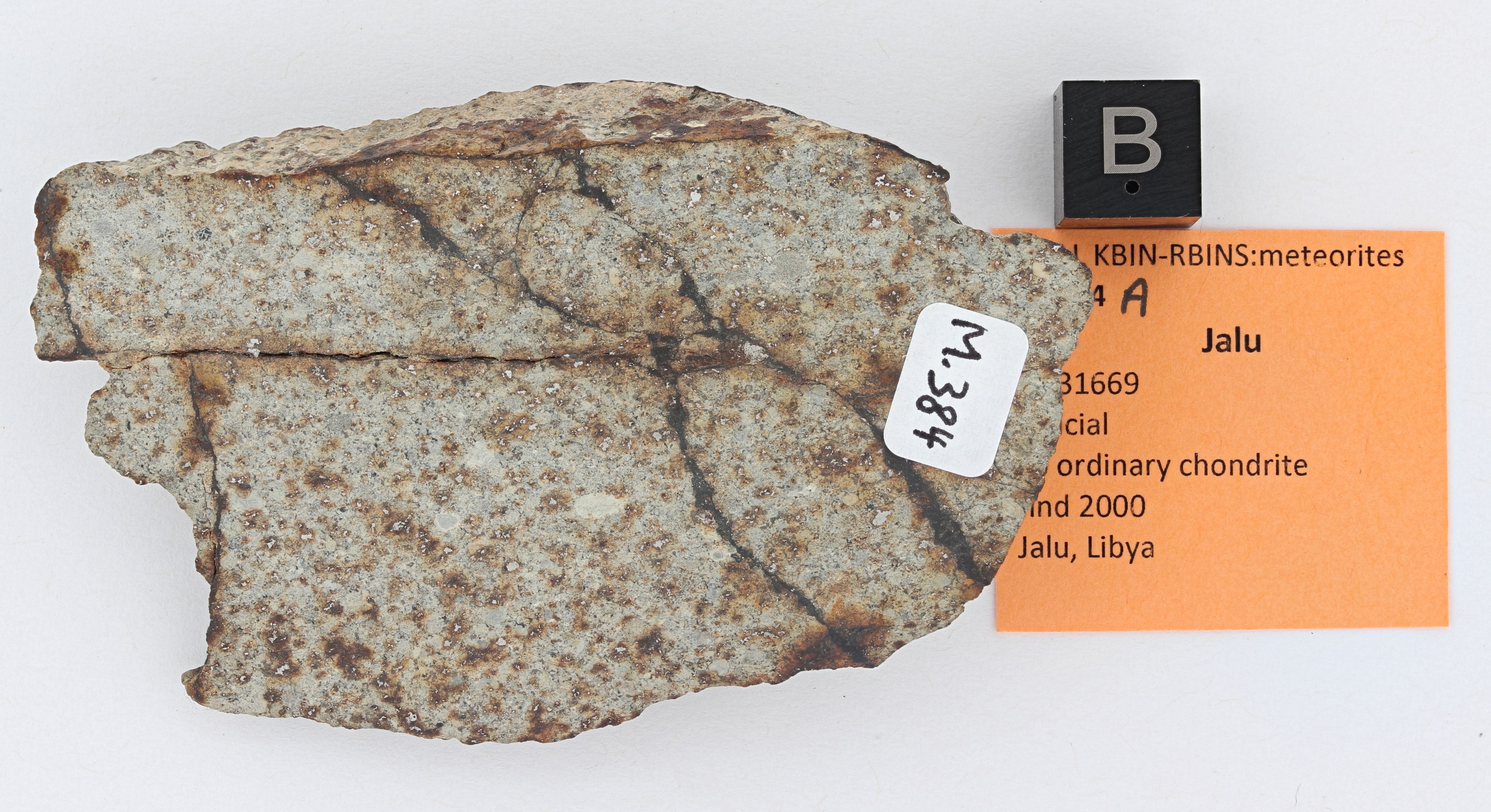 M384A-b ZS PMax_DxO.jpg