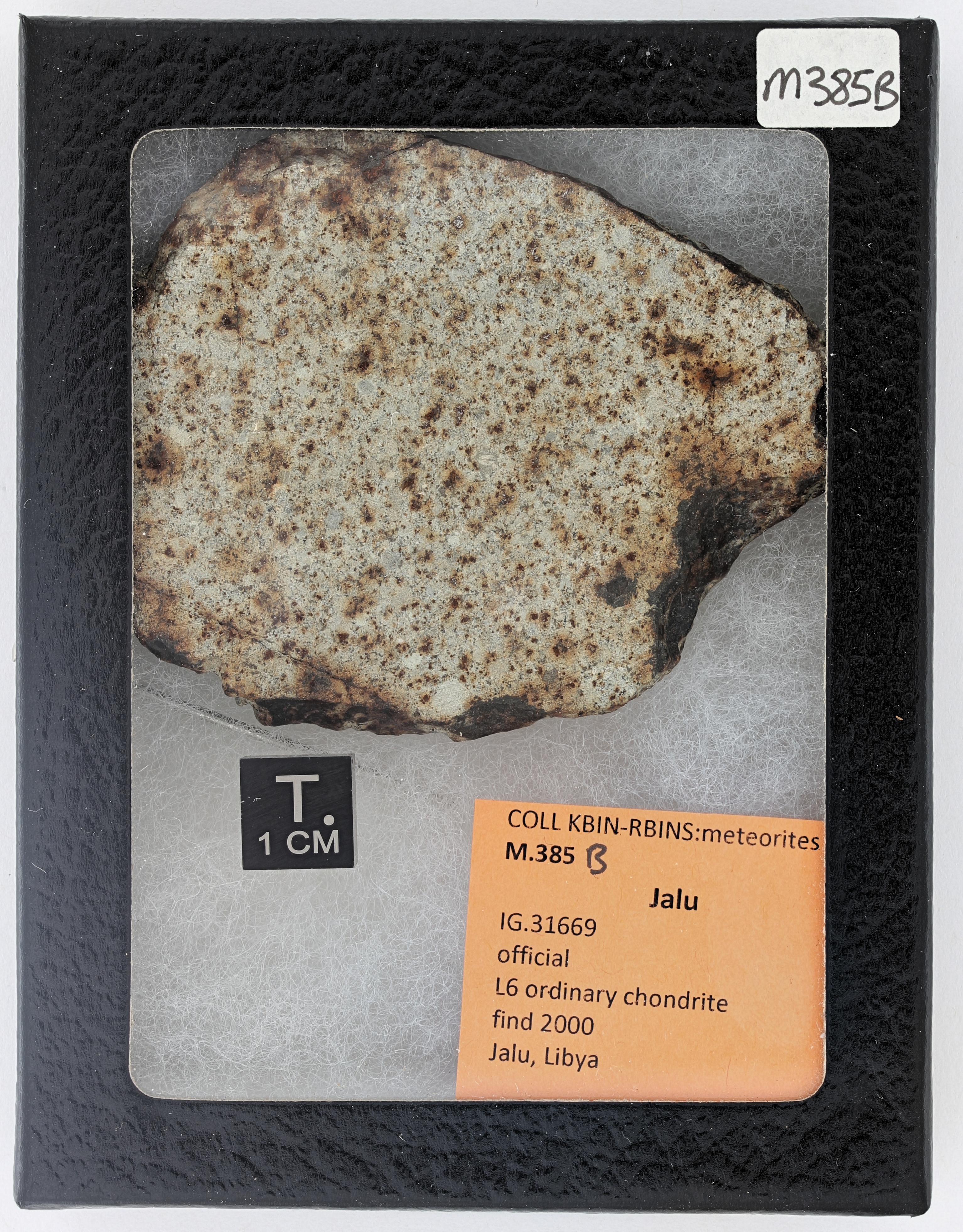 M385B ZS PMax_DxO.jpg
