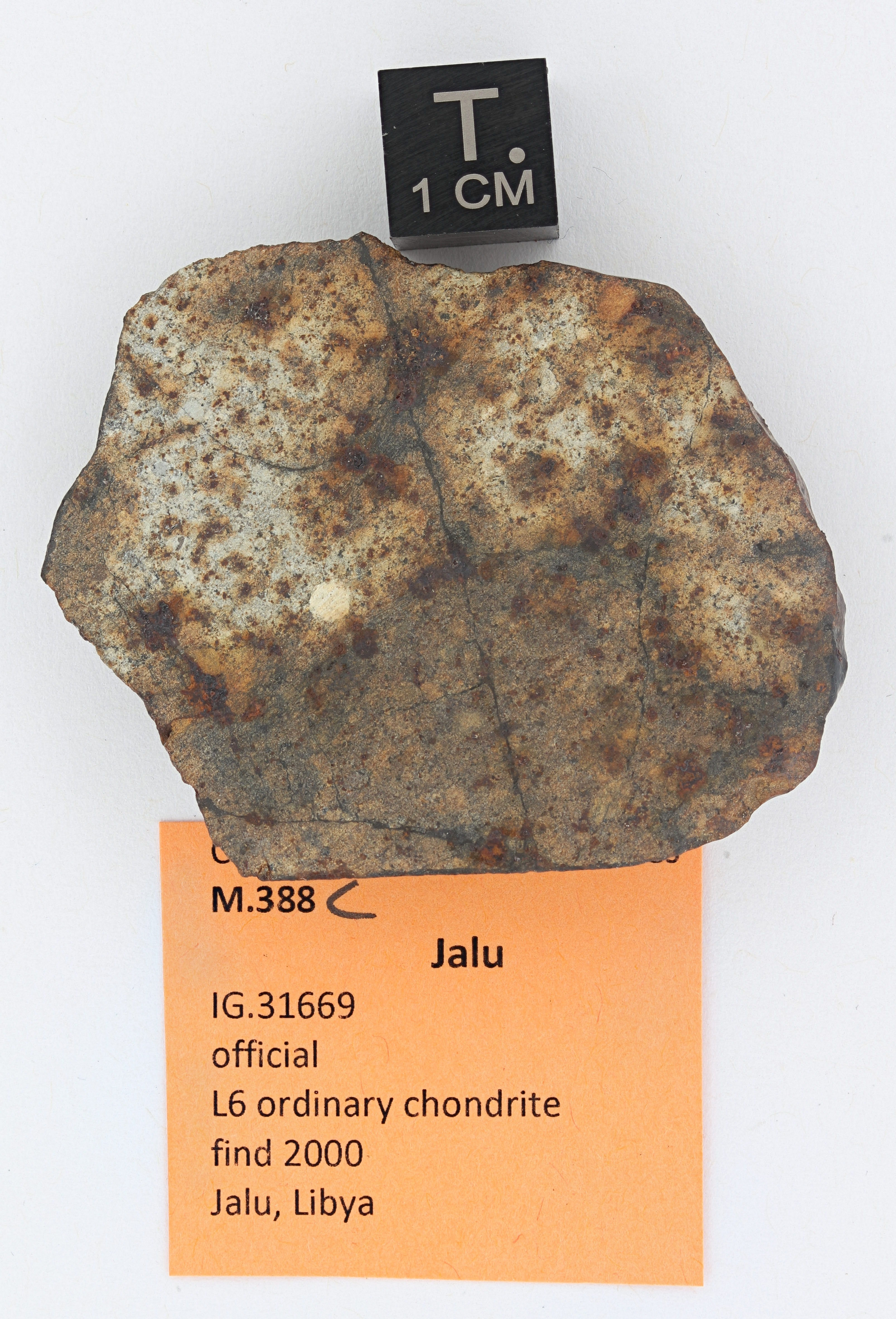 M388C ZS PMax_DxO.jpg