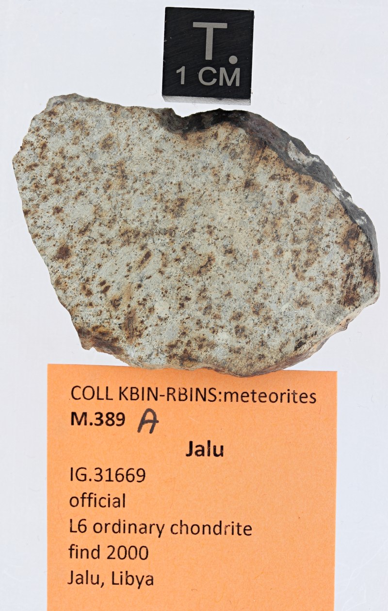 M389A ZS PMax_DxO.jpg