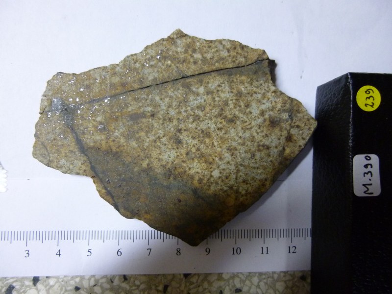 M390.jpg