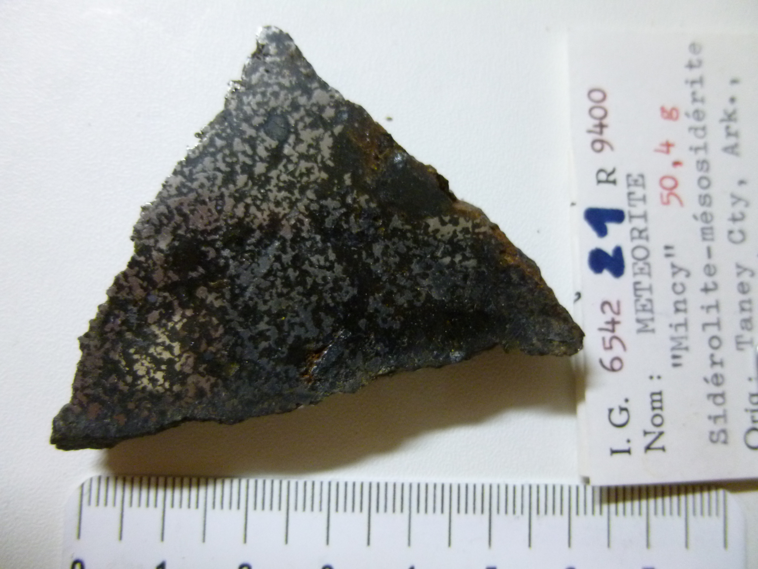 M021.jpg