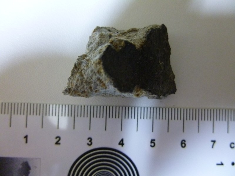 M365.jpg