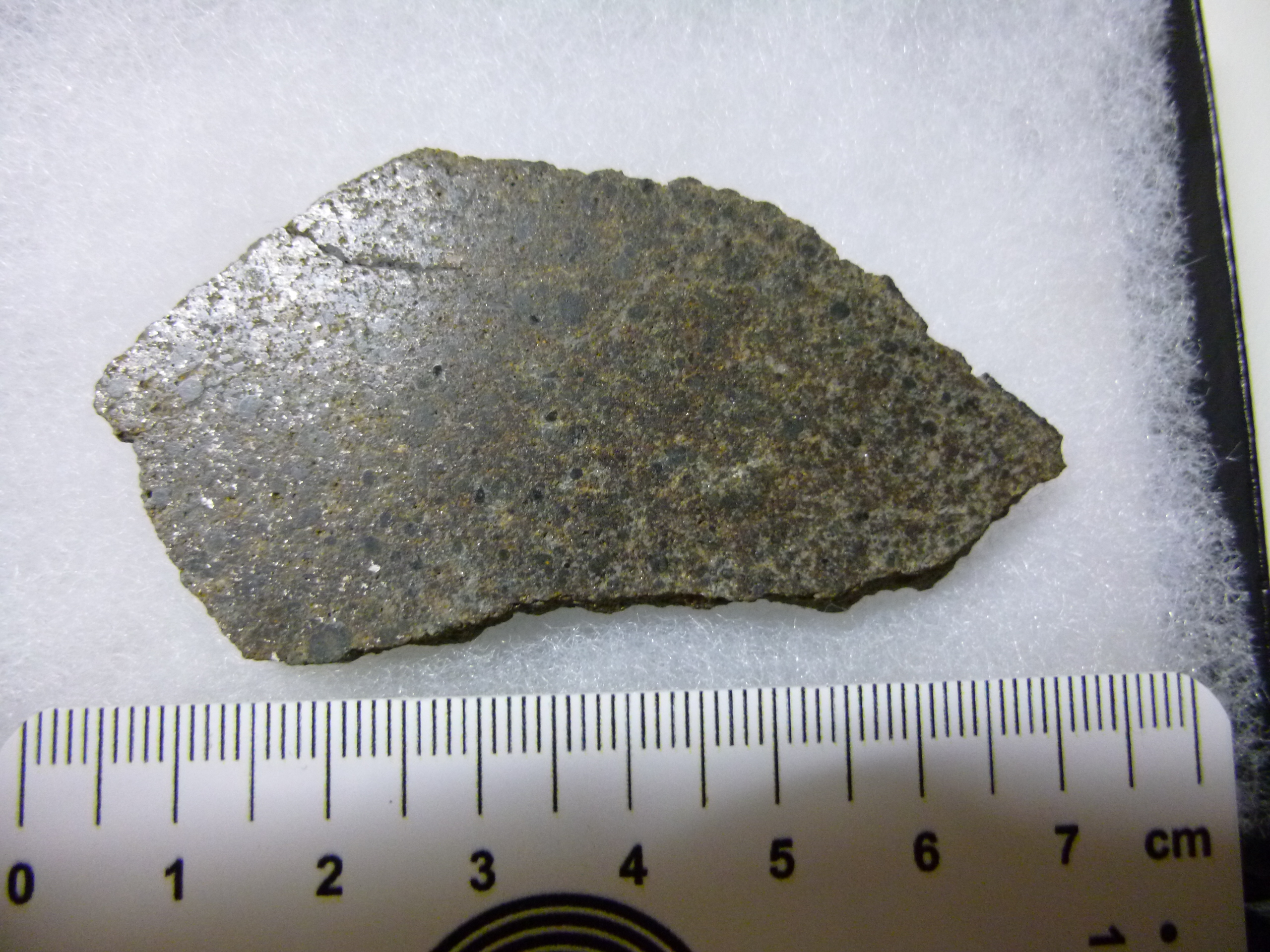 M354.jpg