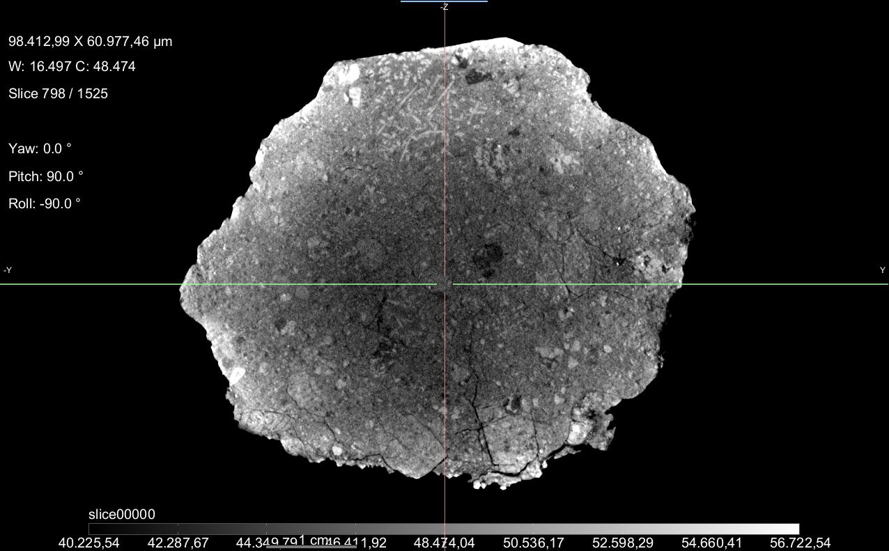 M235-b-µCT.jpg
