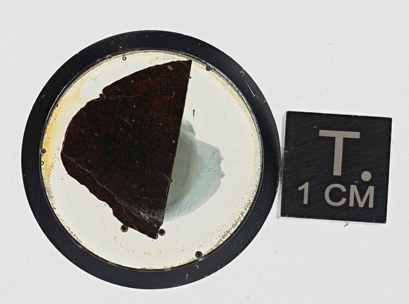 M447C ZS PMax_DxO.jpg