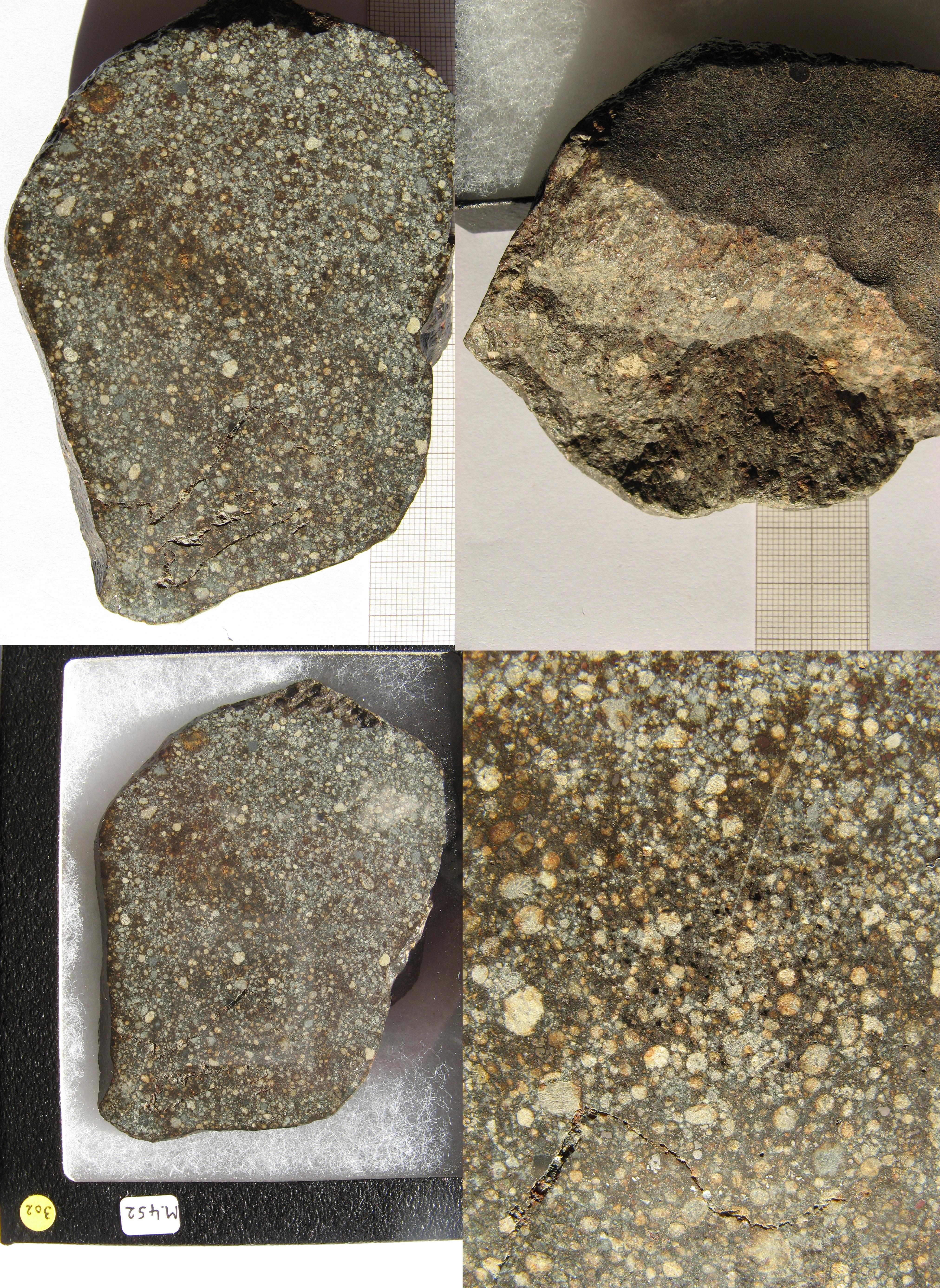 m452 root.jpg
